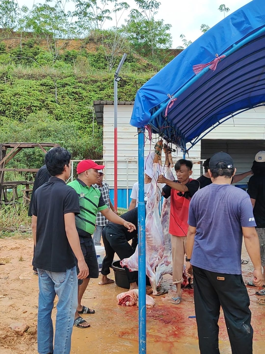 Galeri Qurban